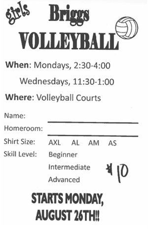 Girls Volleyball Flyer 